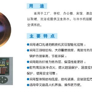 CLHS-G立式燃?xì)猓ㄓ停┏哄仩t